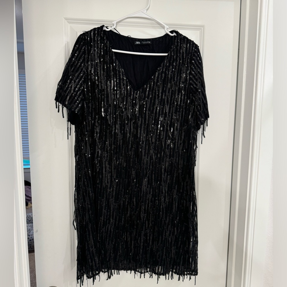 Zara Fringe Sequin Dress